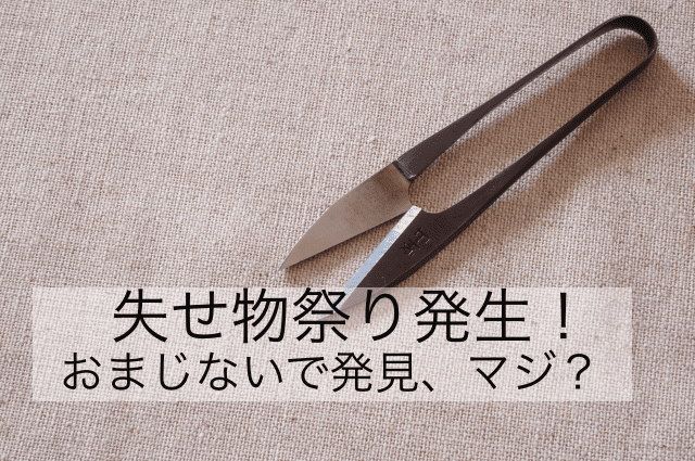 失せもの祭り発生 おまじないで発見 マジ