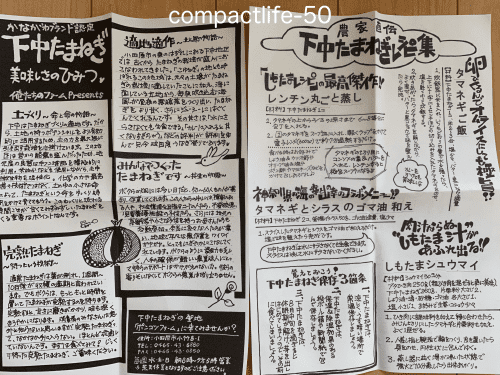 下中玉ねぎ