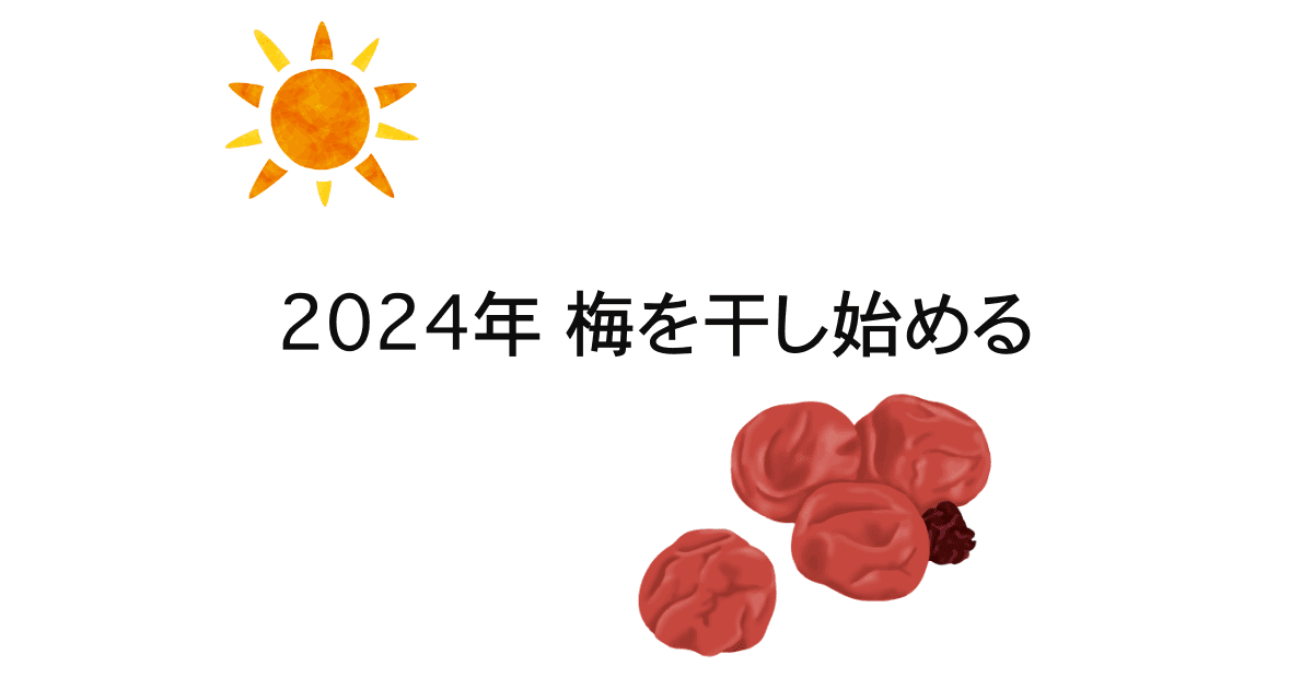 2024 うめ仕事