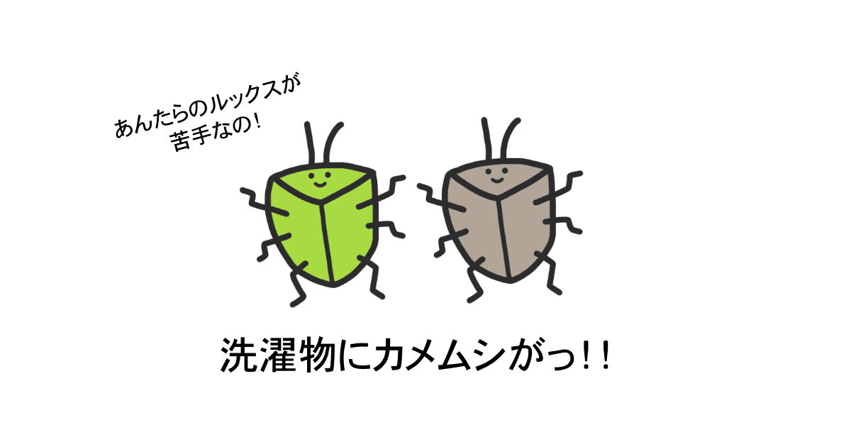 洗濯物にカメムシ