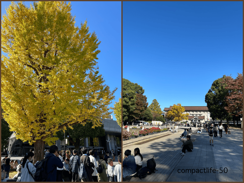 秋の上野