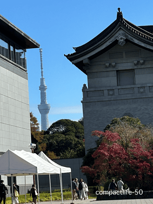 隙間からスカイツリー