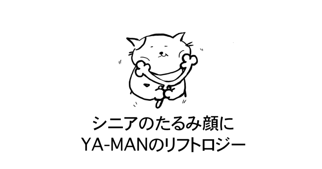 YA-MANリフトロジー