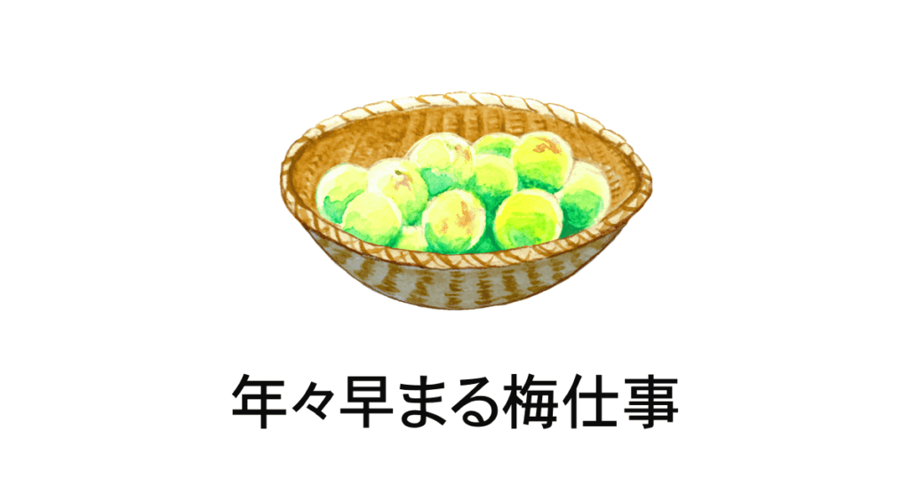 梅仕事