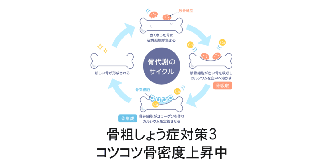 骨粗しょう症対策3