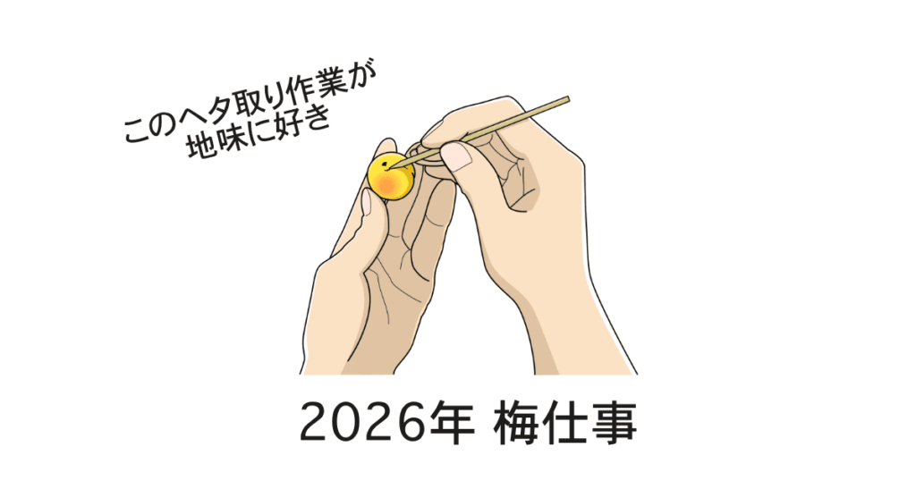 梅仕事2026