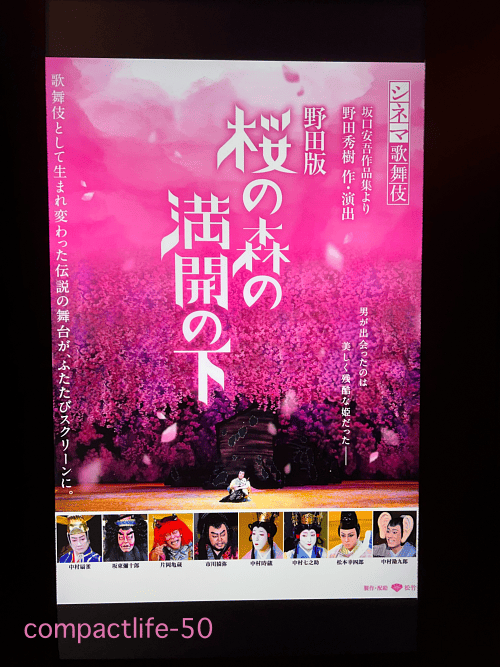 2026桜の森の満開の下